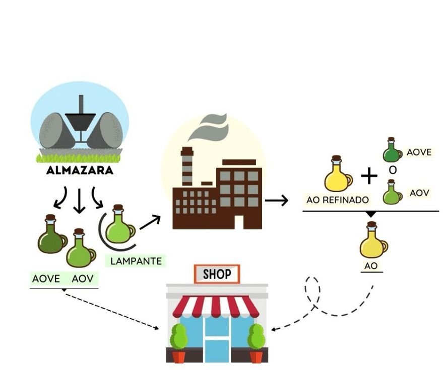 tipos de Aceite de Oliva